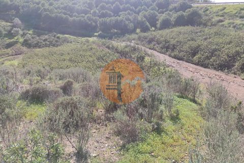 Helårsgrund i Castro Marim, Faro, Castro Marim - € 16.500 | Ref: SU-CS-TR-83991 - foto 23