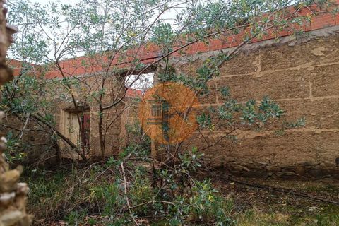 Villa i Mertola, Beja, Mertola - € 29.000 | Ref: SU-CS-MI-86642 - foto 14