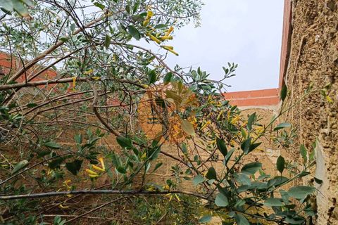 Villa i Mertola, Beja, Mertola - € 29.000 | Ref: SU-CS-MI-86642 - foto 17