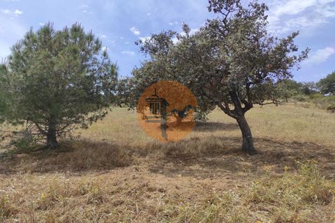 Helårsgrund i Castro Marim, Faro, Castro Marim - € 33.900 | Ref: SU-CS-TR-91827 - foto 3
