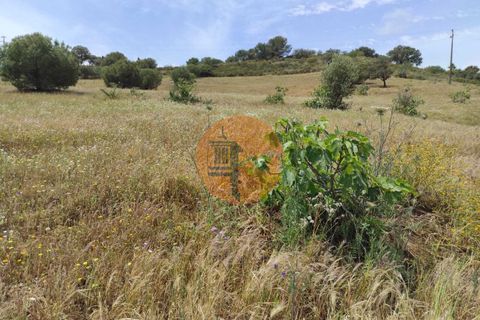 Helårsgrund i Castro Marim, Faro, Castro Marim - € 33.900 | Ref: SU-CS-TR-91827 - foto 16
