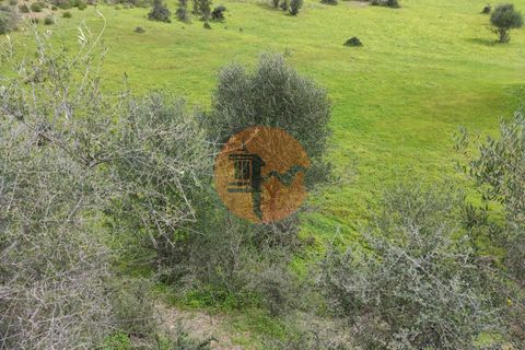 Terra a Castro Marim, Faro, Castro Marim - € 27.500 | Ref: SU-CS-TR-84764 - foto 8