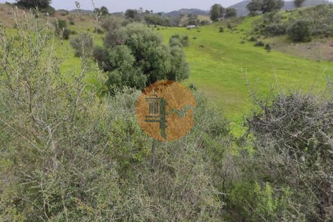 Terra a Castro Marim, Faro, Castro Marim - € 27.500 | Ref: SU-CS-TR-84764 - foto 9
