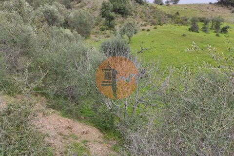 Terra a Castro Marim, Faro, Castro Marim - € 27.500 | Ref: SU-CS-TR-84764 - foto 10