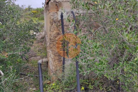 Terra a Castro Marim, Faro, Castro Marim - € 27.500 | Ref: SU-CS-TR-84764 - foto 13