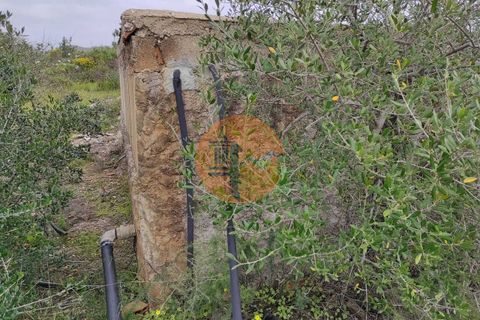 Terra a Castro Marim, Faro, Castro Marim - € 27.500 | Ref: SU-CS-TR-84764 - foto 25