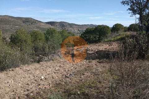 Gård i Alcoutim, Faro, Alcoutim - € 2 100 000 | Ref: SU-CS-HER-86491 - foto 14