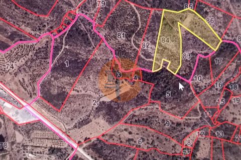 Helårsgrund i Castro Marim, Faro, Castro Marim - € 21.000 | Ref: SU-CS-TR-91225 - foto 7