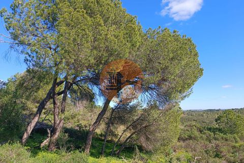 Helårsgrund i Castro Marim, Faro, Castro Marim - € 21.000 | Ref: SU-CS-TR-91225 - foto 11