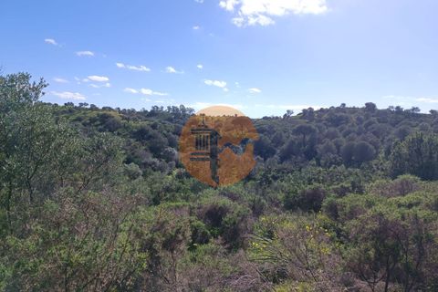 Helårsgrund i Castro Marim, Faro, Castro Marim - € 21.000 | Ref: SU-CS-TR-91225 - foto 14