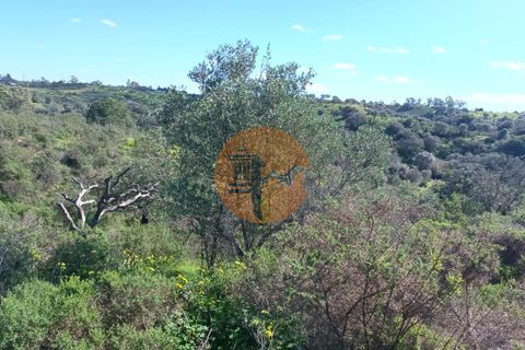 Helårsgrund i Castro Marim, Faro, Castro Marim - € 21.000 | Ref: SU-CS-TR-91225 - foto 15