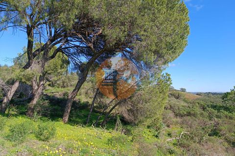 Helårsgrund i Castro Marim, Faro, Castro Marim - € 21.000 | Ref: SU-CS-TR-91225 - foto 17