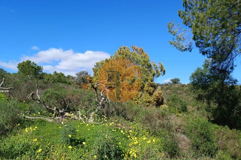 Helårsgrund i Castro Marim, Faro, Castro Marim - € 21.000 | Ref: SU-CS-TR-91225 - foto 19