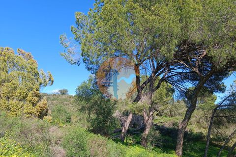 Helårsgrund i Castro Marim, Faro, Castro Marim - € 21.000 | Ref: SU-CS-TR-91225 - foto 21