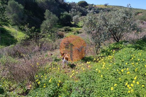 Helårsgrund i Castro Marim, Faro, Castro Marim - € 21.000 | Ref: SU-CS-TR-91225 - foto 25