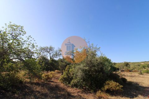 Terra a Estoi, Faro, Estoi - € 56.150 | Ref: SU-CS-TR-90102 - foto 3