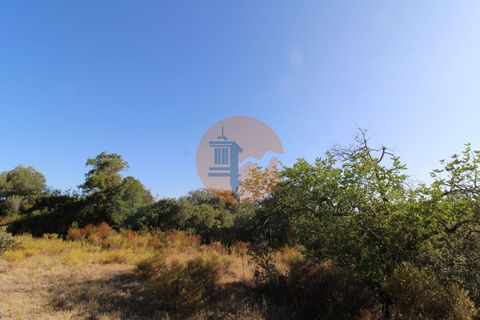 Terra a Estoi, Faro, Estoi - € 56.150 | Ref: SU-CS-TR-90102 - foto 4