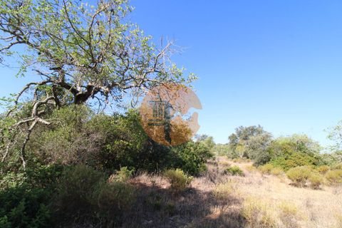 Terra a Estoi, Faro, Estoi - € 56.150 | Ref: SU-CS-TR-90102 - foto 9