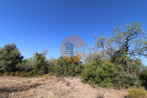 Terra a Estoi, Faro, Estoi - € 56.150 | Ref: SU-CS-TR-90102 - foto 10