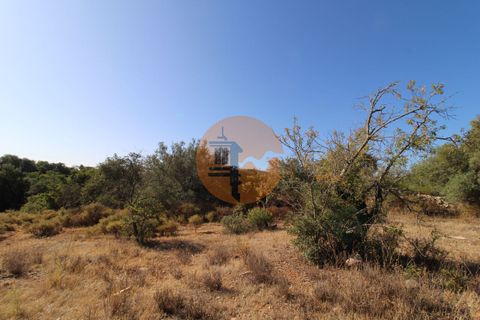 Terra a Estoi, Faro, Estoi - € 56.150 | Ref: SU-CS-TR-90102 - foto 11