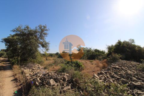 Terra a Estoi, Faro, Estoi - € 56.150 | Ref: SU-CS-TR-90102 - foto 20