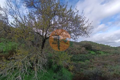 Helårsgrund i Castro Marim, Faro, Castro Marim - € 295.000 | Ref: SU-CS-TU-90389 - foto 1