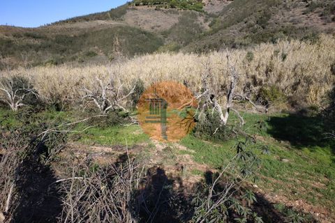 Helårsgrund i Castro Marim, Faro, Castro Marim - € 13.000 | Ref: SU-CS-TR-83351 - foto 4