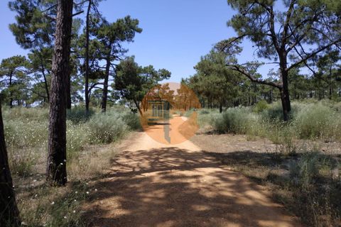 Helårsgrund i Castro Marim, Faro, Castro Marim - € 13.000 | Ref: SU-CS-TR-83351 - foto 23