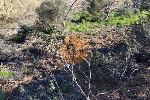 Helårsgrund i Castro Marim, Faro, Castro Marim - € 13.000 | Ref: SU-CS-TR-83351 - foto 24