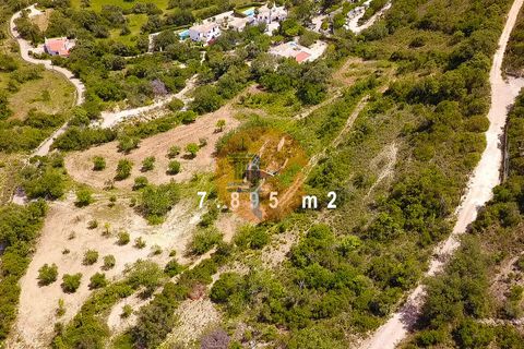 Terra a Estoi, Faro, Estoi - € 1.200.000 | Ref: SU-CS-TU-85711 - foto 4