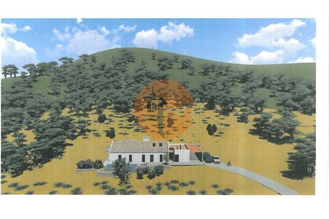Terra a Estoi, Faro, Estoi - € 1.200.000 | Ref: SU-CS-TU-85711 - foto 5
