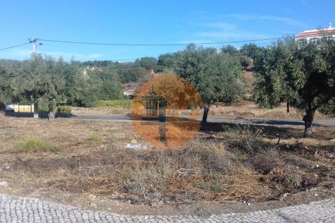 Terra a Estoi, Faro, Estoi - € 300.000 | Ref: SU-CS-TU-88377 - foto 14