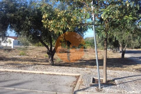 Terra a Estoi, Faro, Estoi - € 300.000 | Ref: SU-CS-TU-88377 - foto 15