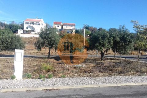 Terra a Estoi, Faro, Estoi - € 300.000 | Ref: SU-CS-TU-88377 - foto 16