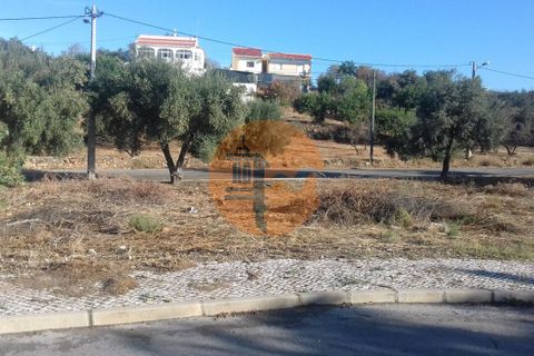 Terra a Estoi, Faro, Estoi - € 300.000 | Ref: SU-CS-TU-88377 - foto 20
