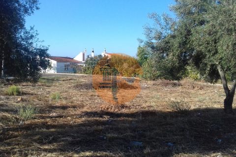 Terra a Estoi, Faro, Estoi - € 300.000 | Ref: SU-CS-TU-88377 - foto 22