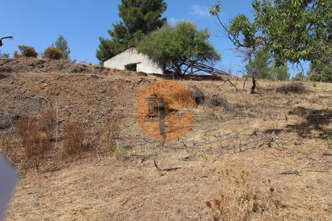 Farm i Castro Marim, Faro, Castro Marim - € 940.000 | Ref: SU-CS-QUIR-91796 - foto 1