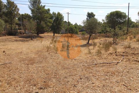 Farm i Castro Marim, Faro, Castro Marim - € 940.000 | Ref: SU-CS-QUIR-91796 - foto 4