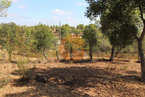 Farm i Castro Marim, Faro, Castro Marim - € 940.000 | Ref: SU-CS-QUIR-91796 - foto 5