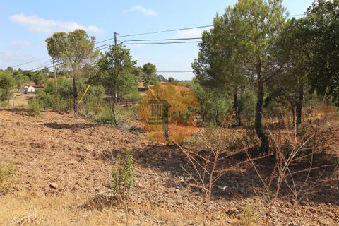 Farm i Castro Marim, Faro, Castro Marim - € 940.000 | Ref: SU-CS-QUIR-91796 - foto 7