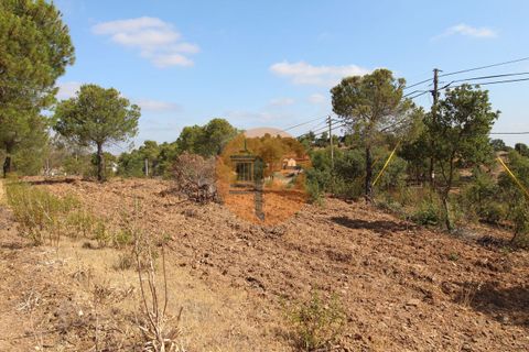 Farm i Castro Marim, Faro, Castro Marim - € 940.000 | Ref: SU-CS-QUIR-91796 - foto 8