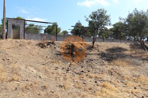Farm i Castro Marim, Faro, Castro Marim - € 940.000 | Ref: SU-CS-QUIR-91796 - foto 9