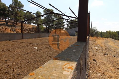 Farm i Castro Marim, Faro, Castro Marim - € 940.000 | Ref: SU-CS-QUIR-91796 - foto 11