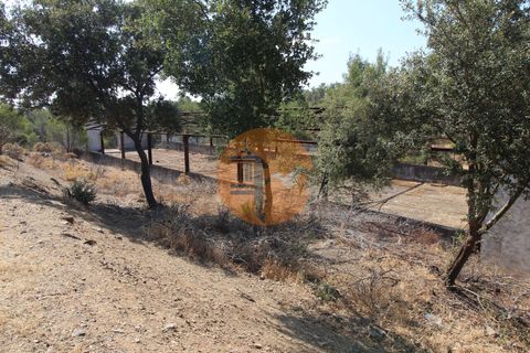 Farm i Castro Marim, Faro, Castro Marim - € 940.000 | Ref: SU-CS-QUIR-91796 - foto 12