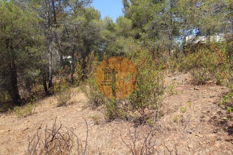 Farm i Castro Marim, Faro, Castro Marim - € 940.000 | Ref: SU-CS-QUIR-91796 - foto 13