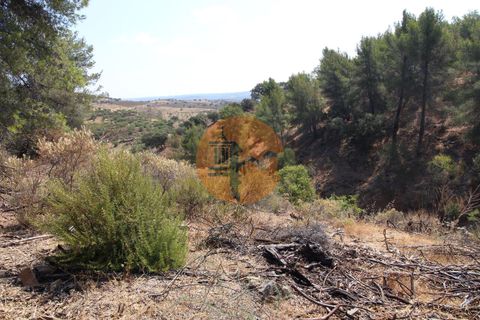 Farm i Castro Marim, Faro, Castro Marim - € 940.000 | Ref: SU-CS-QUIR-91796 - foto 15