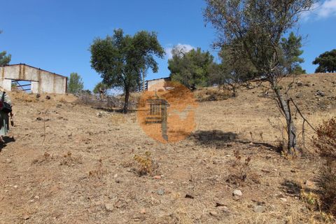 Farm i Castro Marim, Faro, Castro Marim - € 940.000 | Ref: SU-CS-QUIR-91796 - foto 17