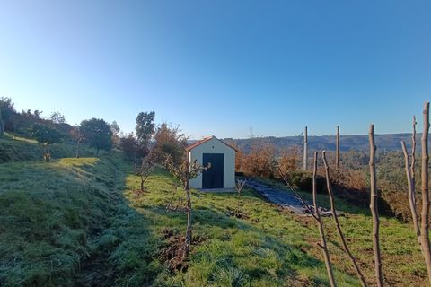 Rækkehus i Arganil, Coimbra, Arganil - € 531.000 | Ref: SE 01/2025 - foto 50