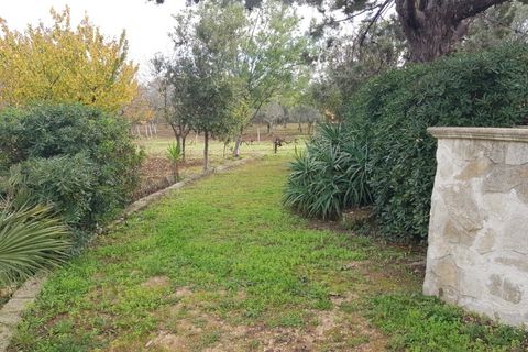 Villa a Carovigno, Brindisi, Carovigno - € 150.000 | Ref: sold v2 - foto 22