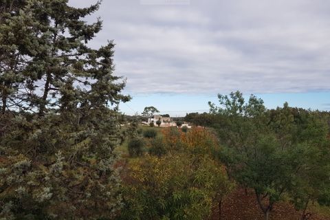 Villa a Carovigno, Brindisi, Carovigno - € 150.000 | Ref: sold v2 - foto 27